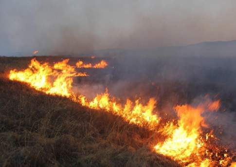 В ВКО тушат степной пожар площадью 400 га